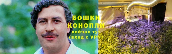 прущие крисы Беломорск
